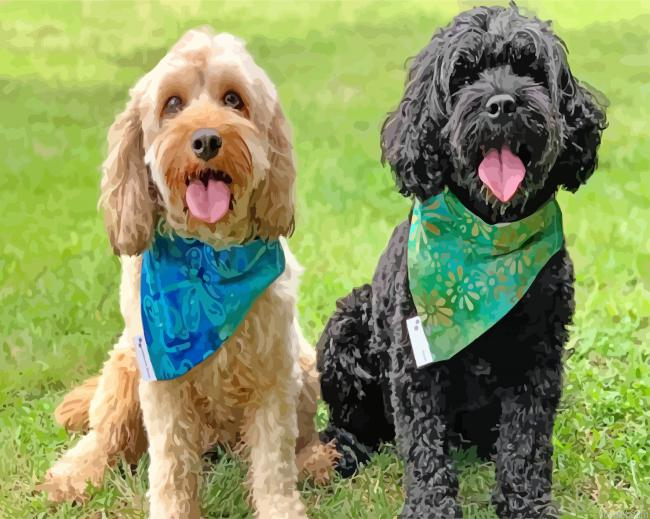 Beige And Black-Cavoodle Paint By Numbers