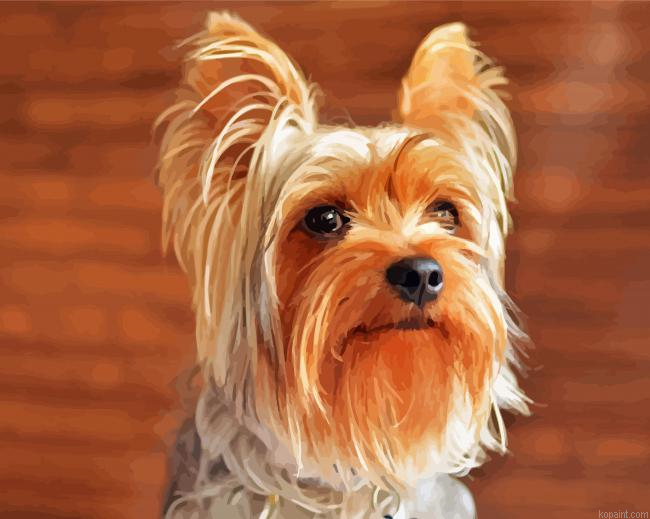 Beige And Brown Yorkshire Terrier Painting By Numberss.png