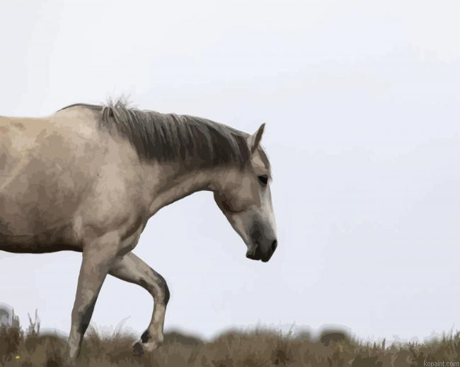 Beige Brumby Horse Paint By Numbers.png