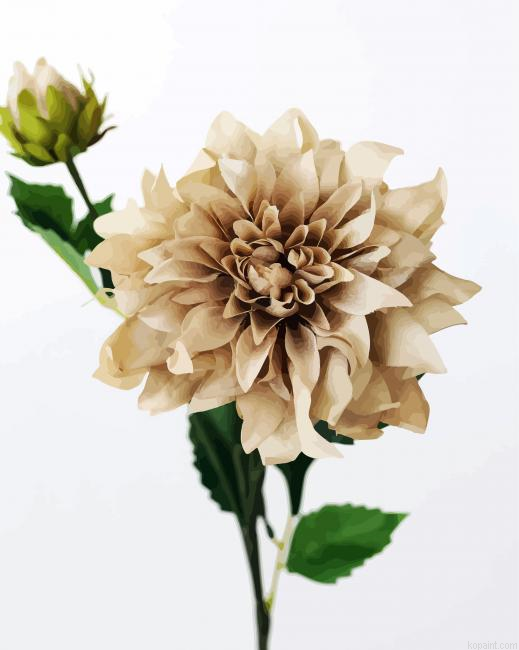 Beige Flower Paint By Numbers.png