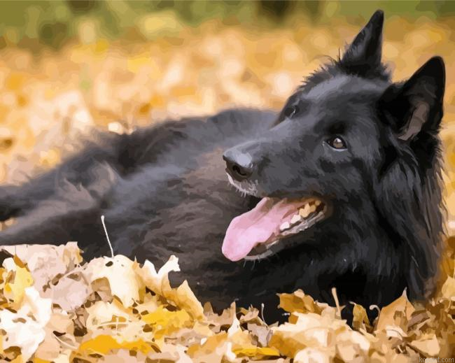 Belgian Shepherd Enjoying The Autumn Painting By Numberss.png