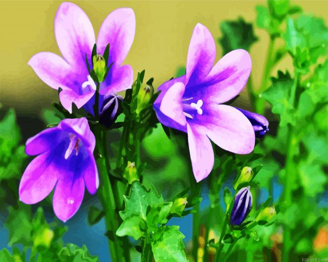 Bellflower Wildflower Painting By Numberss.png
