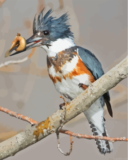 Belted Kingfisher On Tree Branch Painting By Numberss.png