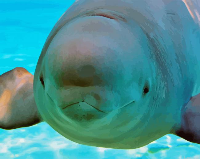 Beluga Whale Illustration Painting By Numberss.png