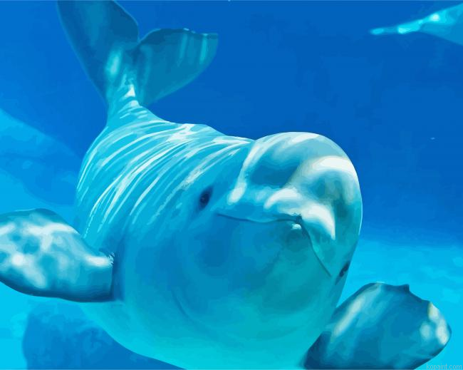 Beluga Whale Painting By Numberss.png