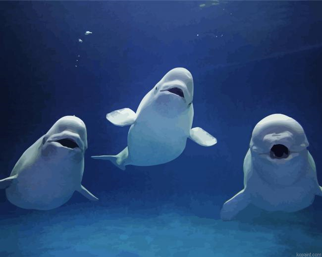 Beluga Whales Animals Painting By Numberss.png