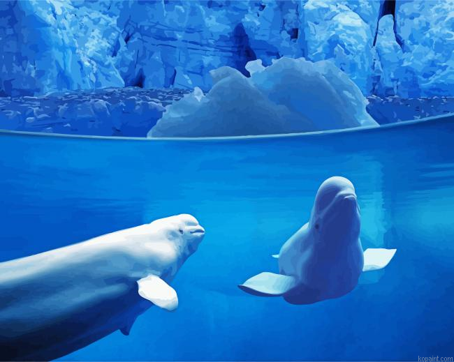 Beluga Whales Underwater Painting By Numberss.png