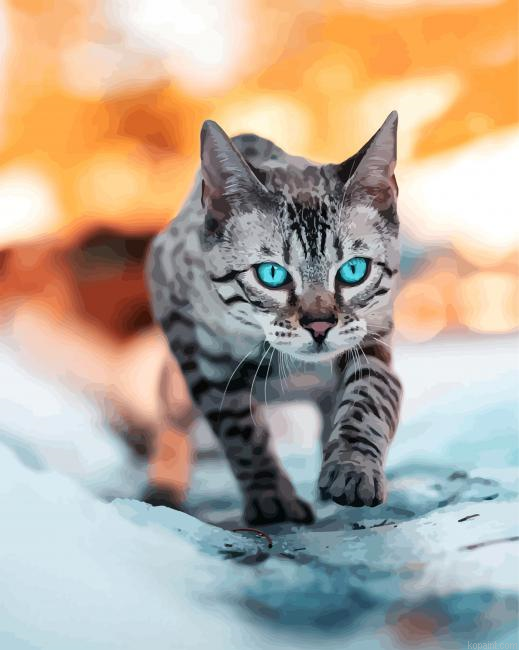 Bengal Cat Blue Eyes Paint By Numbers.png
