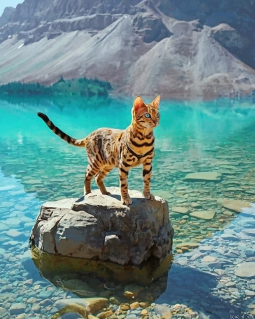 Bengal Cat In A Geographical Beauty Seascape Paint By Numbers