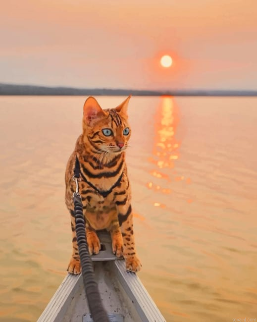 Bengal Cat In A Magical Sunrise Paint By Numbers