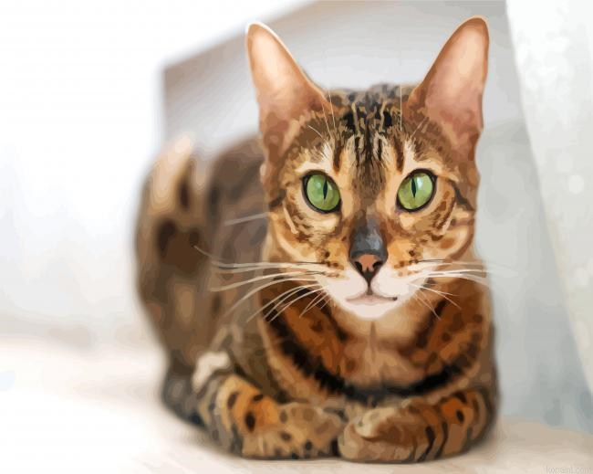 Bengal Cat With Green Eyes Paint By Numbers.png