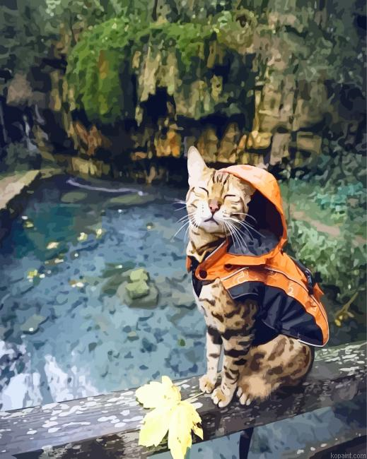 Bengal Cat With Raincoat Paint By Numbers.png