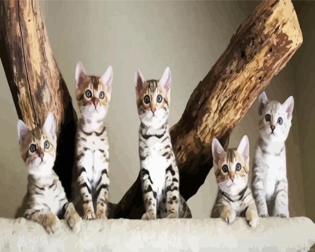 Bengal Kitties Paint By Numbers.png