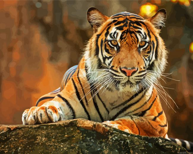 Bengal Tiger Animal Painting By Numberss.png