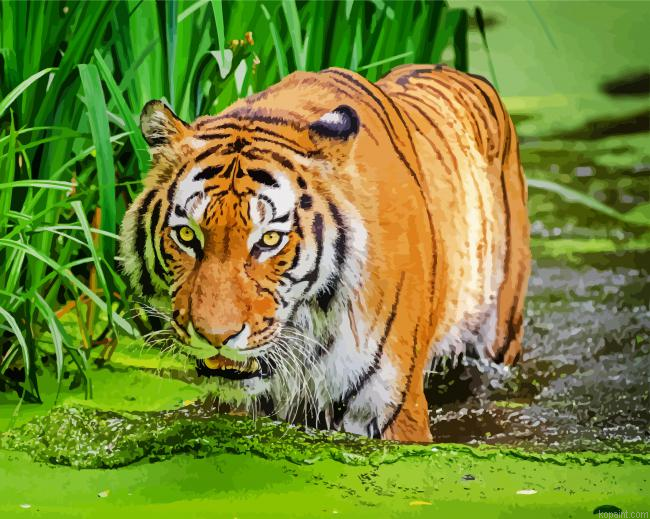 Bengal Tiger In The Water Painting By Numberss.png