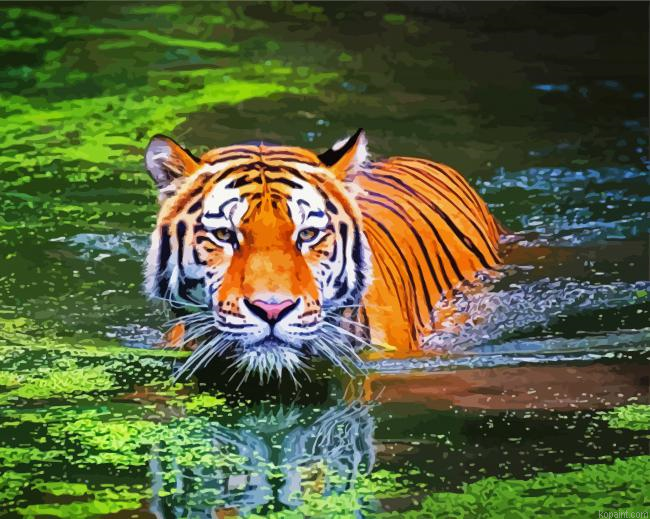 Bengal Tiger Swimming Painting By Numberss.png