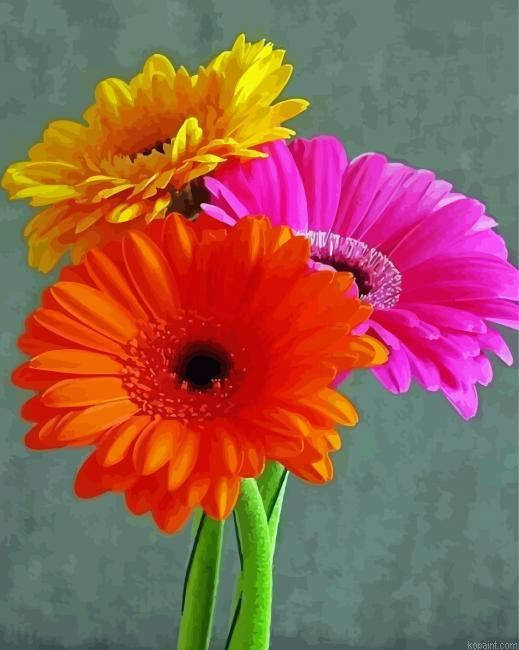 Berber Daisy Flowers Painting By Numberss.png