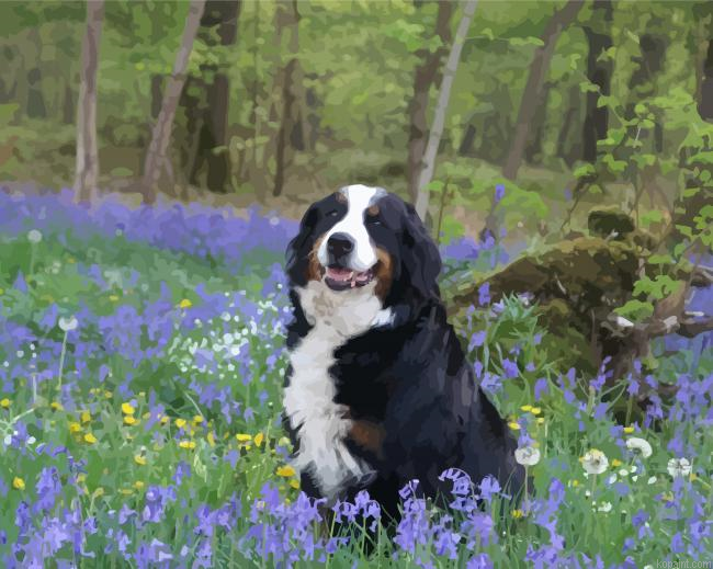 Bernese Mountain Dog And Purple Flowers Paint By Numbers