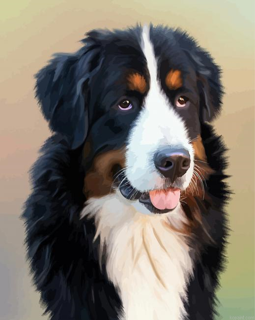 Bernese Mountain Dog Painting By Numberss.png
