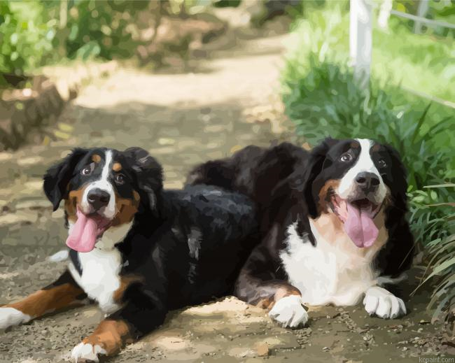 Bernese Mountain Dogs Painting By Numberss.png