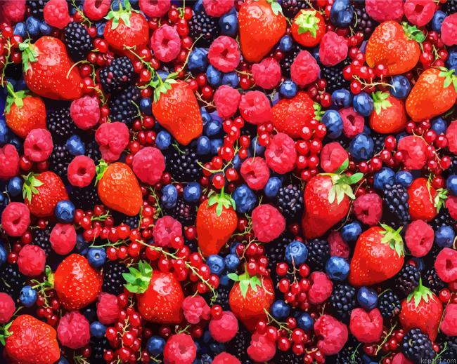 Berries Fruits Paint By Numbers.png