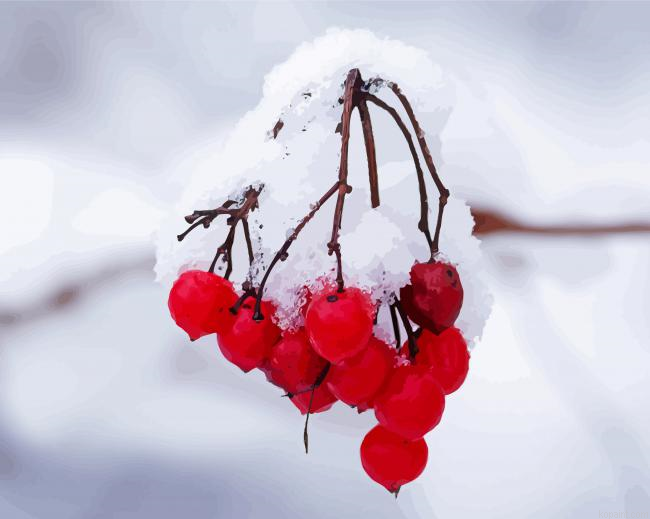 Berries In Winter Painting By Numberss.png