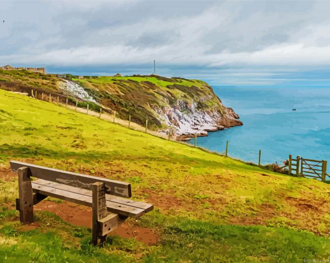Berry Head National Nature Reserve Brixham Painting By Numberss.png