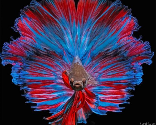 Betta Fish Paint By Numbers