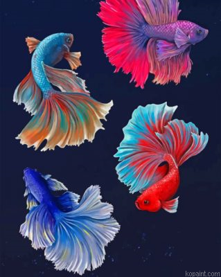 Betta Fishes Vector Painting By Numberss.png