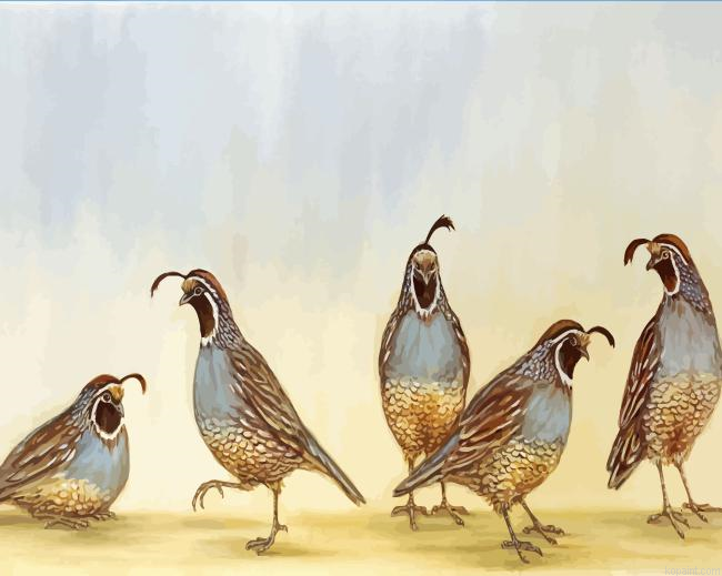 Bevy Of Quails Bird Paint By Numbers