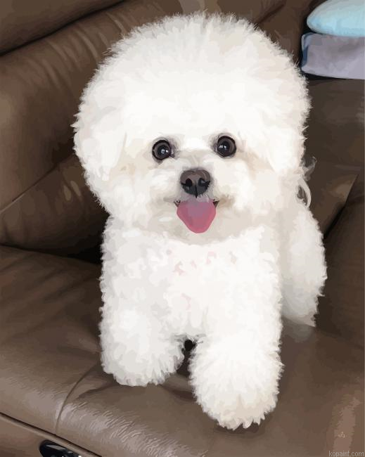 Bichon Frise Painting By Numberss.png