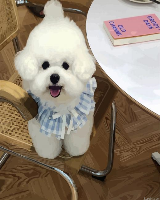 Bichon Wearing A Cute Dress Painting By Numberss.png