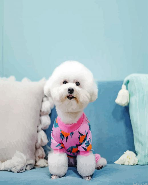 Bichon Weraing Pajamas Painting By Numberss.png