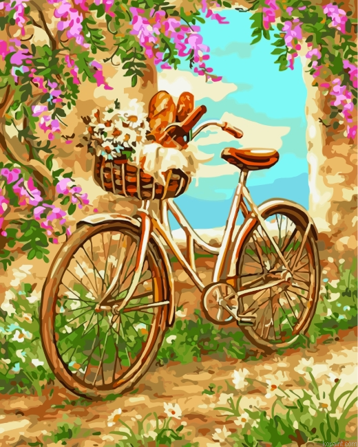 Bicycle With Flowers Painting By Numberss.png