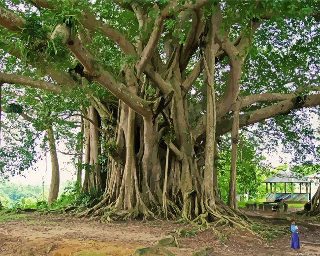 Big Banyan Tree Paint By Numbers