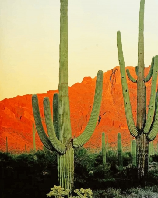Big Cactus Mountains New Painting By Numberss.png