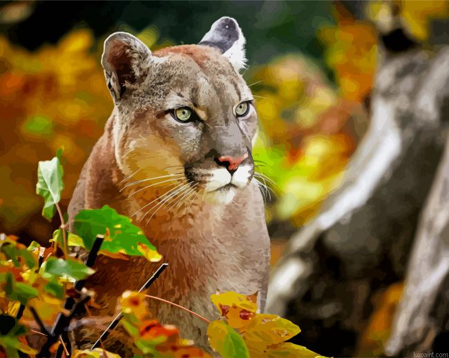 Big Cat Cougar Painting By Numberss.png