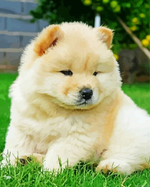 Big Fluffy Dog Painting By Numberss.png