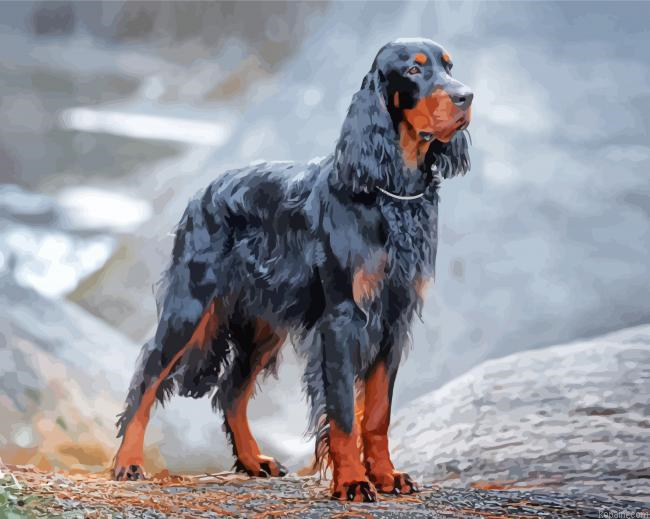 Big Gordon Setter Painting By Numberss.png