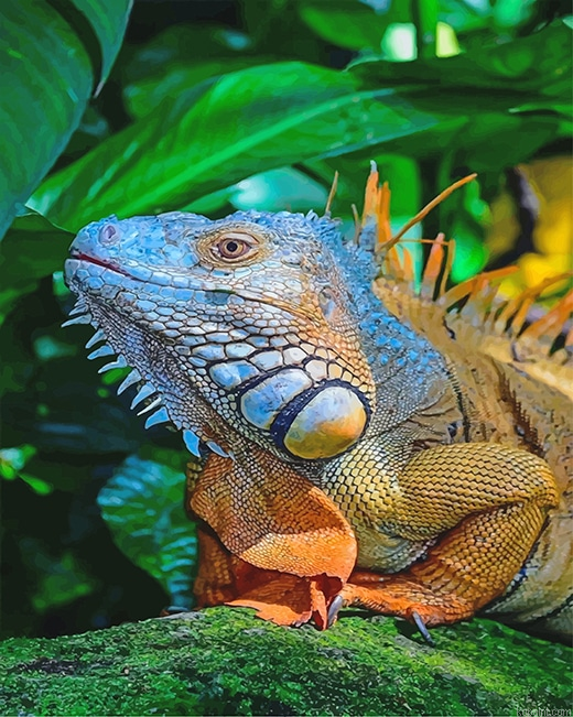 Big Iguana New Painting By Numberss.png