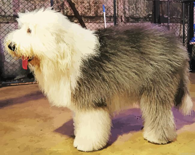 Big Sheep Dog Painting By Numberss.png