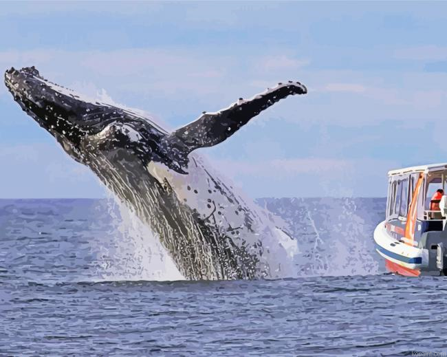 Big Whale And Little Boat Painting By Numberss.png