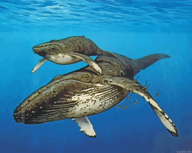 Big Whales Painting By Numberss.png