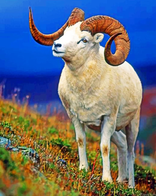 Bighorn Sheep Animals Painting By Numberss.png