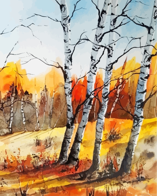 Birch Trees Forest Painting By Numberss.png