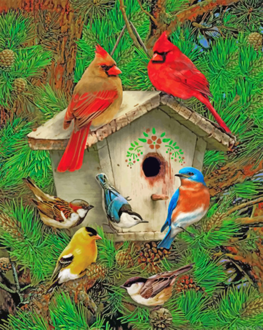 Bird House Painting By Numberss.png
