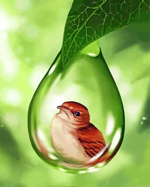 Bird In Bubble Drop Of Water Painting By Numberss.png