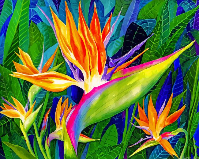 Bird Of Paradise Art Painting By Numberss.png