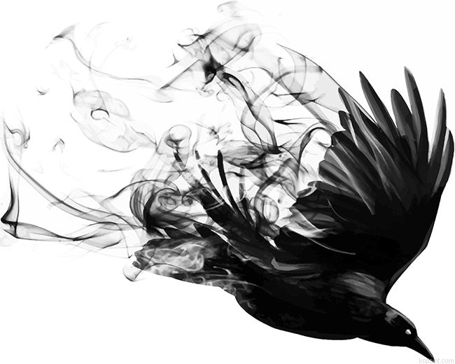 Bird Smoke New Painting By Numberss.png