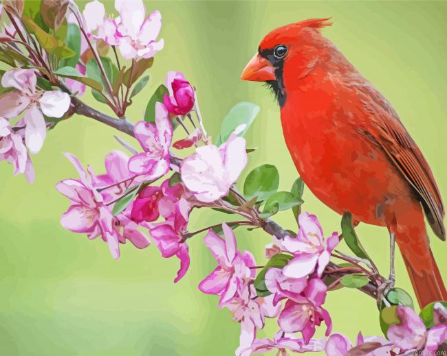 Birds And Blossom Painting By Numberss.png
